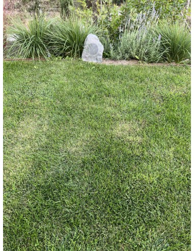 Instalación Cine en Casa "Sonos + Sony OLED 4K...