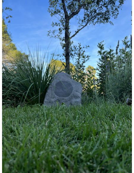 Instalación Cine en Casa "Sonos + Sony OLED 4K + Paradigm Rock"