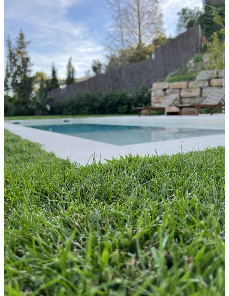 Instalación Cine en Casa "Sonos + Sony OLED 4K + Paradigm Rock"