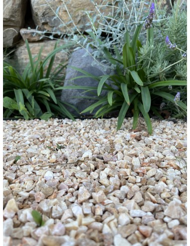 Instalación Cine en Casa "Sonos + Sony OLED 4K...