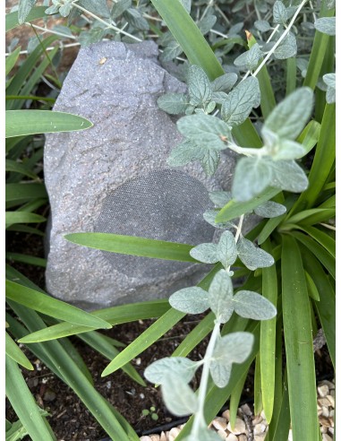 Instalación Cine en Casa "Sonos + Sony OLED 4K...