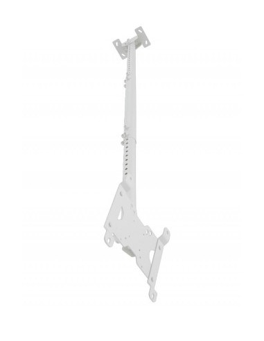 Soporte televisión techo blanco de 24" a 42"