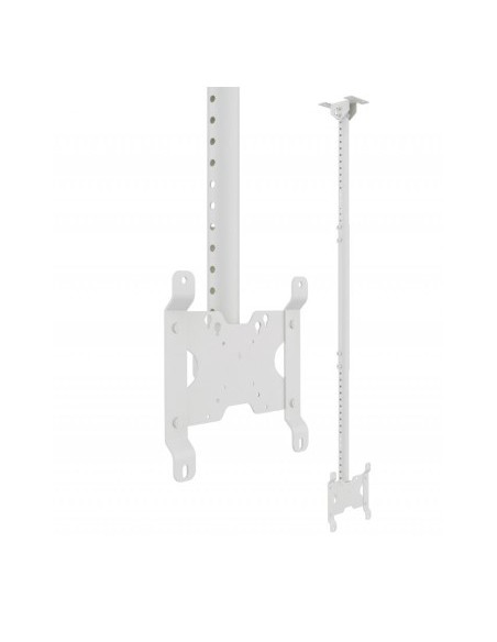 Soporte televisión techo blanco de 24" a 42"