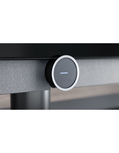 Loewe Bild v.55 OLED Summer Edition