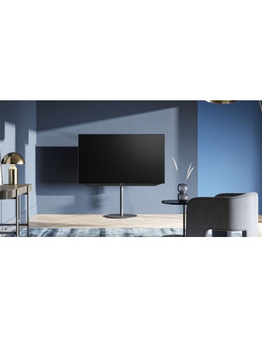 Loewe Bild v.55 OLED Summer Edition