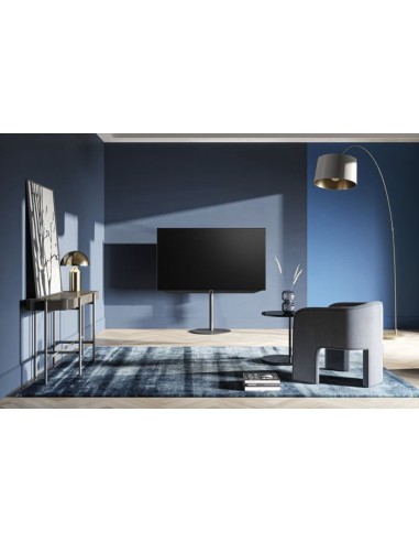 Loewe Bild v.55 OLED Summer Edition
