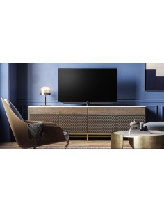 Loewe Bild v.55 OLED Summer Edition 2