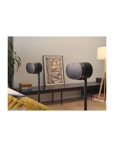 Sonos Era300