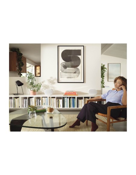 Sonos Era300