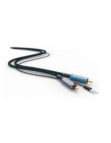 Arran Phono "Giradiscos"