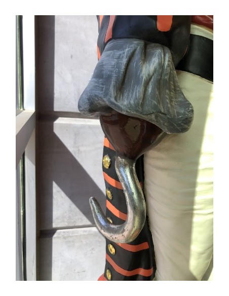 Mujer pirata