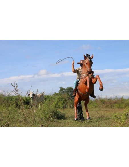 Vaquero a caballo