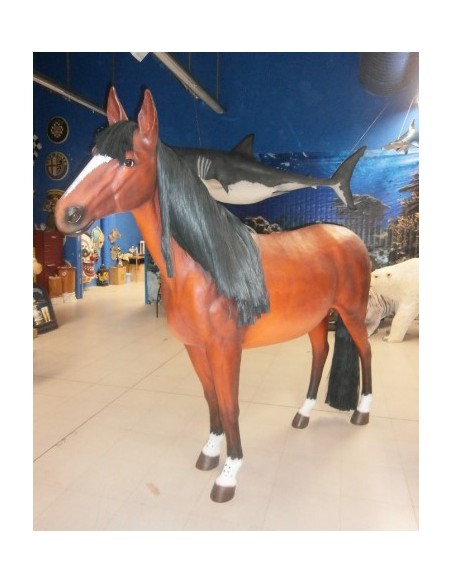 Caballo