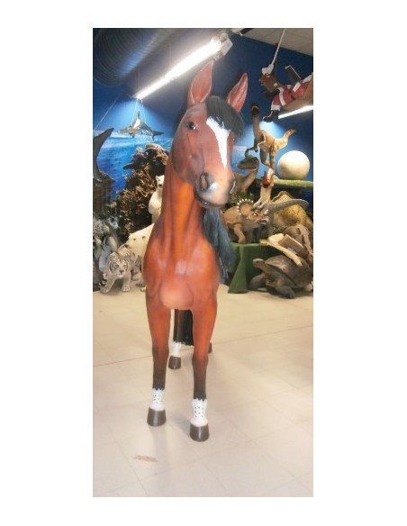 Caballo