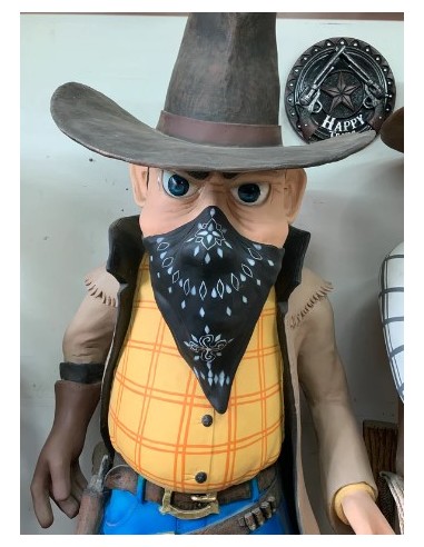 Cowboy ladrón de bancos