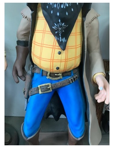 Cowboy ladrón de bancos