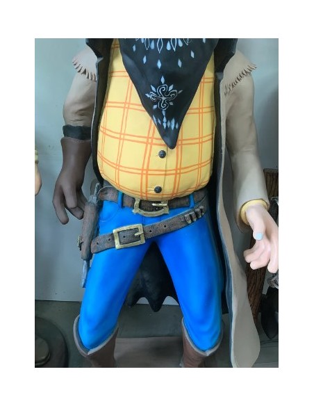 Cowboy ladrón de bancos