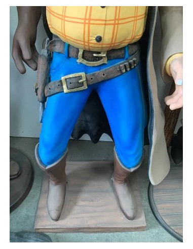 Cowboy ladrón de bancos