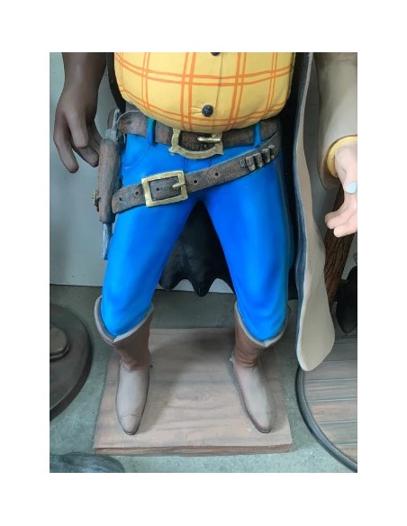Cowboy ladrón de bancos