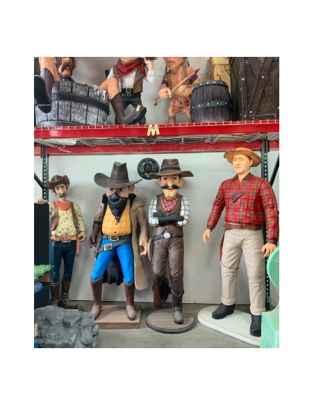 Cowboy ladrón de bancos