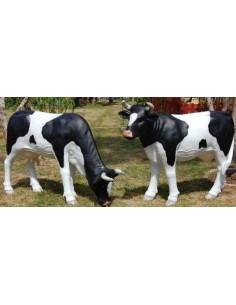 Vaca mediana 2