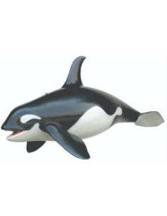 Orca