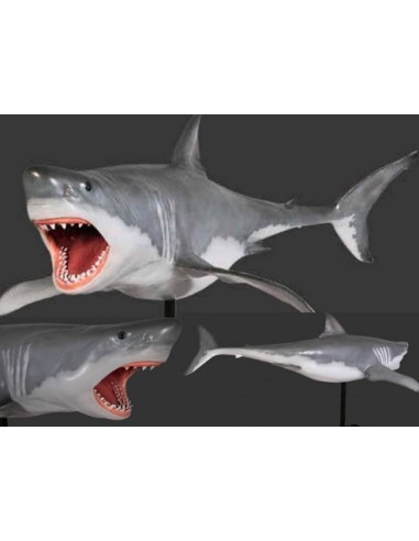 Tiburón blanco (en pedestal)