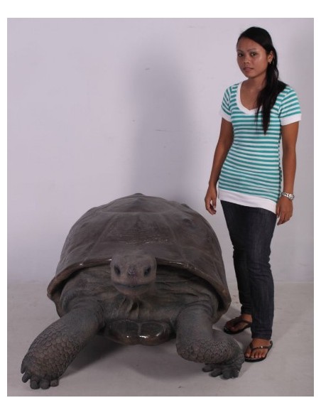 Tortuga gigante de las Galápagos