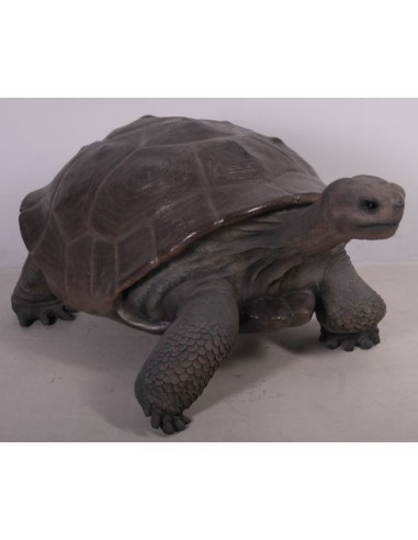 Tortuga gigante de las Galápagos