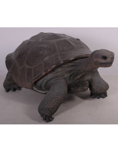 Tortuga gigante de las Galápagos