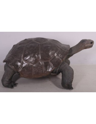 Tortuga gigante de las Galápagos