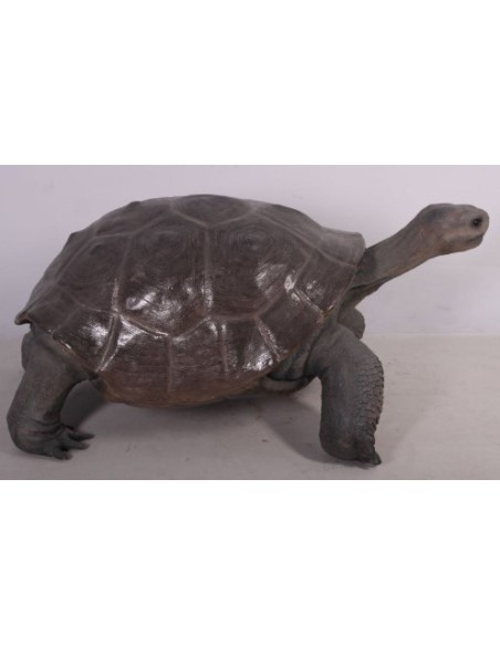 Tortuga gigante de las Galápagos