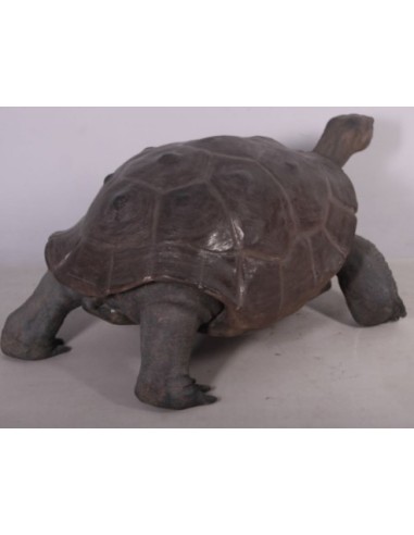 Tortuga gigante de las Galápagos