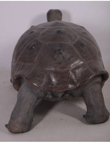 Tortuga gigante de las Galápagos