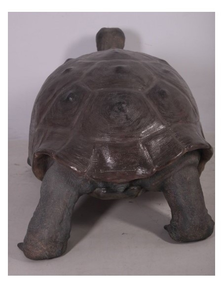 Tortuga gigante de las Galápagos