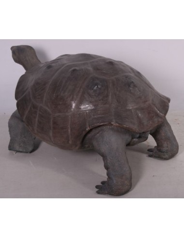 Tortuga gigante de las Galápagos