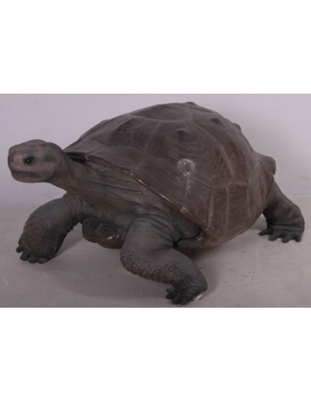 Tortuga gigante de las Galápagos