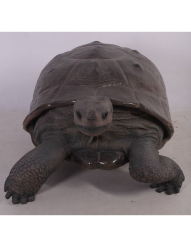 Tortuga gigante de las Galápagos