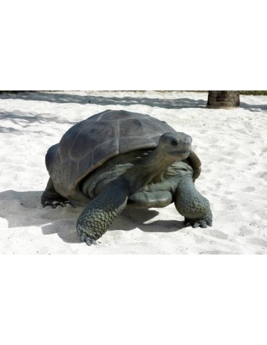 Tortuga gigante de las Galápagos