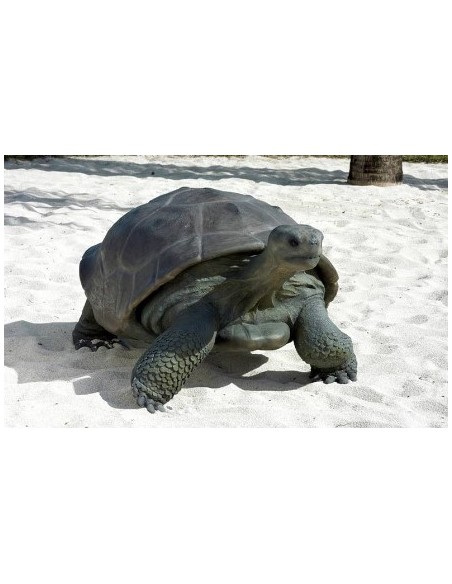 Tortuga gigante de las Galápagos