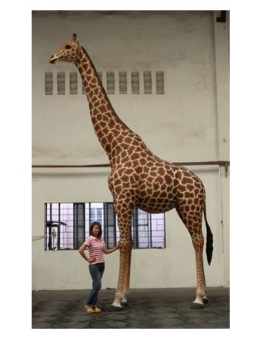 Jirafa