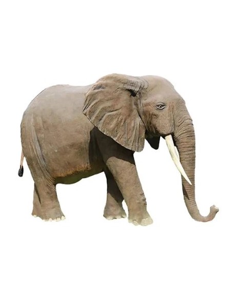 Elefante
