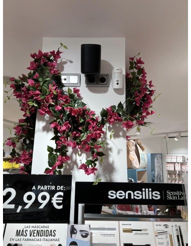 Sistema hilo musical con Sonos en farmacia