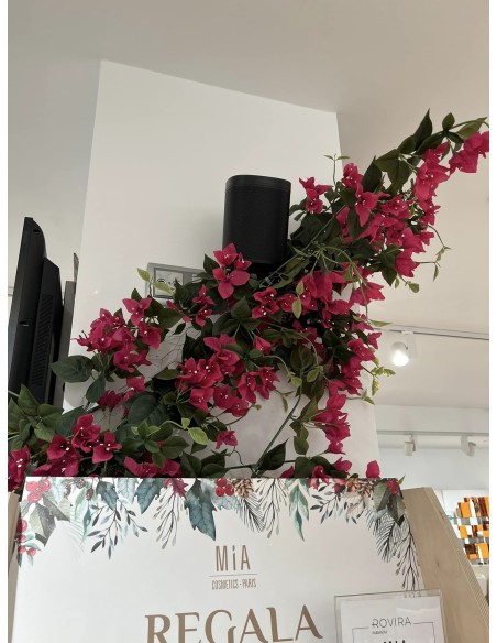 Sistema hilo musical con Sonos en farmacia