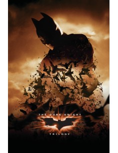 Poster Batman Begins