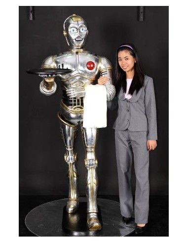 Robot camarero