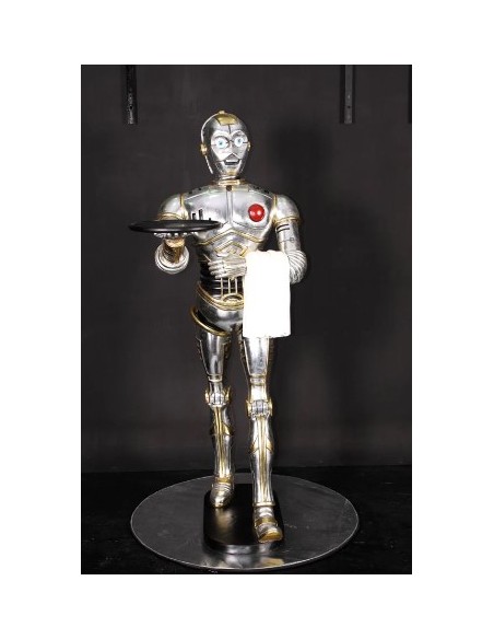 Robot camarero