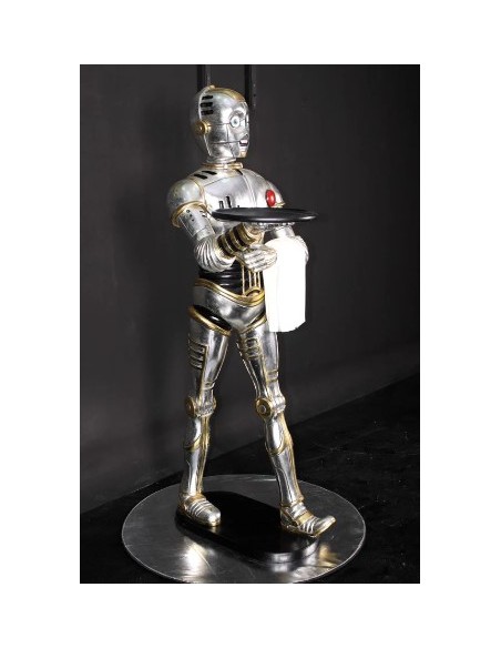 Robot camarero