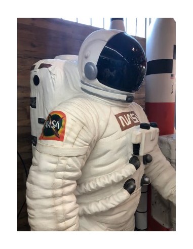 Astronauta Nasa Luna