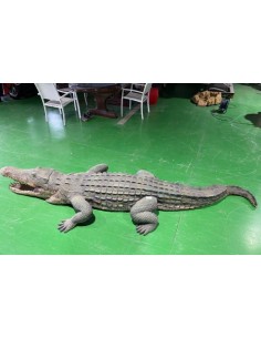 Cocodrilo del Nilo 2